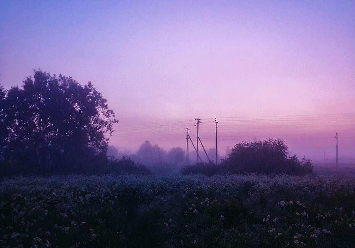九游官方网站：开启手游世界的官方入口，信任从指尖开始